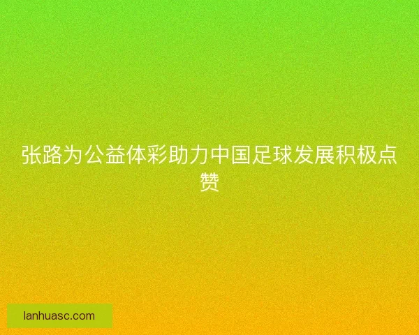 张路为公益体彩助力中国足球发展积极点赞