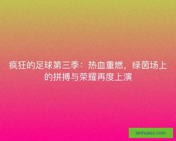 疯狂的足球第三季：热血重燃，绿茵场上的拼搏与荣耀再度上演
